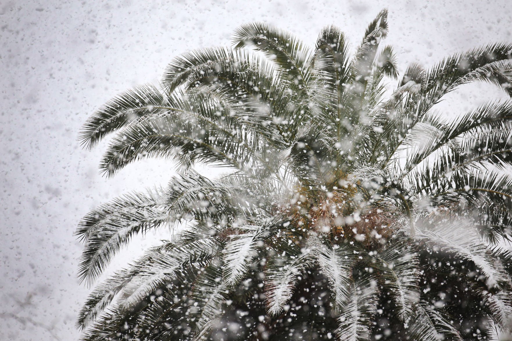 Snow across Tucson